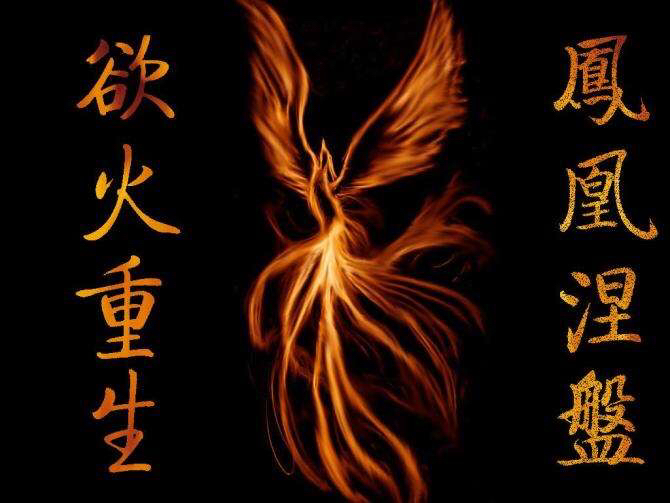 厂房在线-十年专注产业地产服务